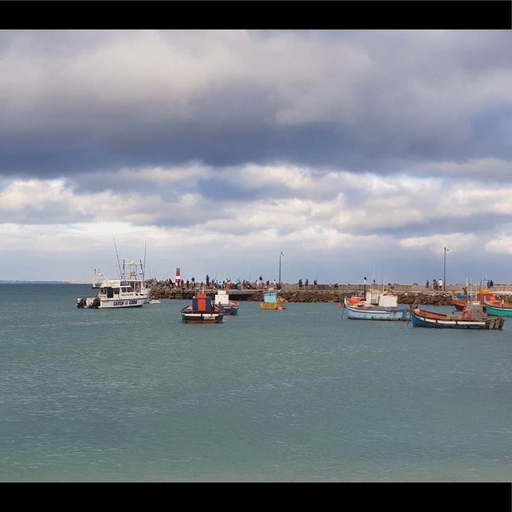 Meet your Posher, Mia